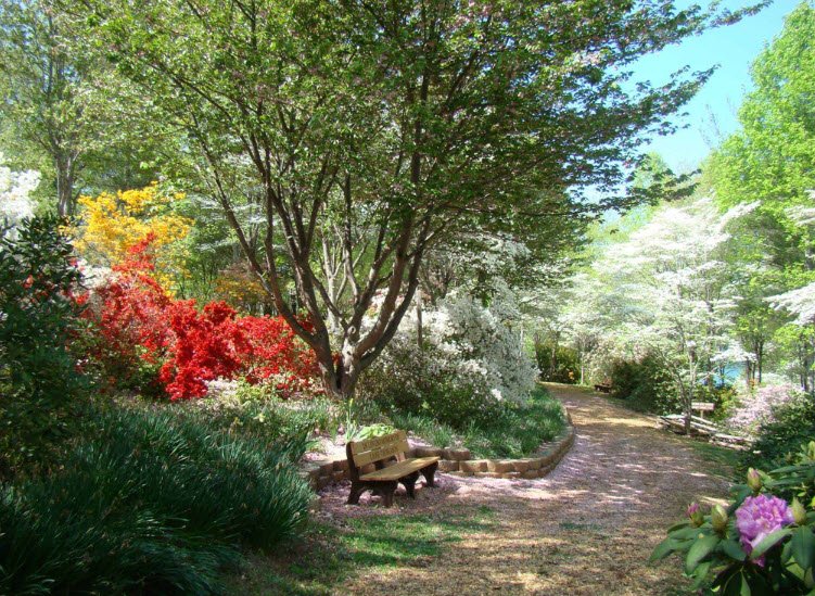 Fred Hamilton Rhododendron Garden, United States